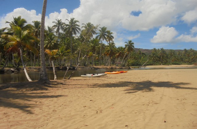 Playa Coson Las Terrenas Republica Dominicana