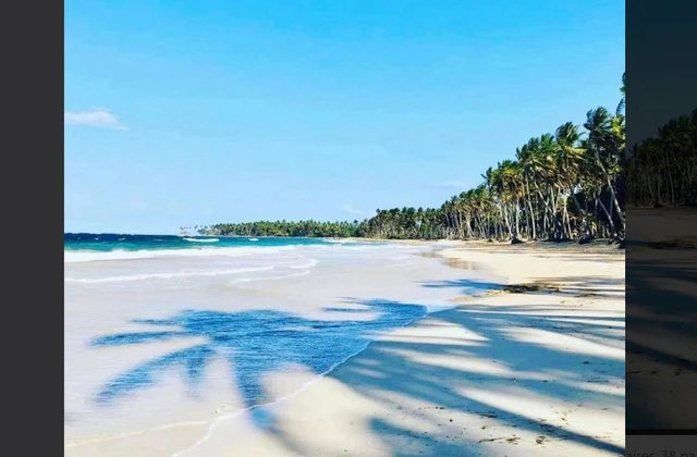 Playa Miguelito Baoba del Pinal 1
